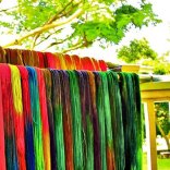 Yarn Drying in the Hawaiian Sun